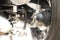 2026 Harley-Davidson FLTRT - Road Glide 3 Base