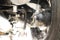 2026 Harley-Davidson Trike FLTRT - Road Glide 3
