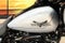 2024 Harley-Davidson Trike FLTRT - Road Glide 3