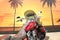 2013 Harley-Davidson Touring FLHRSE5 - CVO Road King
