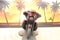 2019 Harley-Davidson FLHXSE - CVO Street Glide Base