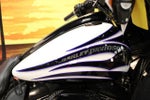 2016 Harley-Davidson FLHXSE - CVO Street Glide Base