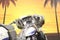 2017 Harley-Davidson FLHTKSE - CVO Limited Base