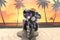 2021 Harley-Davidson FLHTKSE - CVO Limited Base
