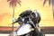 2019 Harley-Davidson FLHTKSE - CVO Limited Base