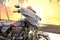 2026 Harley-Davidson Street Glide FLHXSTSE - CVO ST