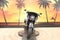 2025 Harley-Davidson Softail FLHC - Heritage Classic