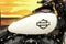 2019 Harley-Davidson Softail FXFB - Fat Bob