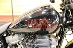 2025 Harley-Davidson FXLRS - Low Rider S Base