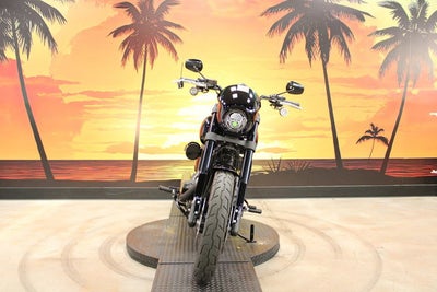 2025 Harley-Davidson FXLRS - Low Rider S Base