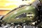 2026 Harley-Davidson Softail FXLRST - Low Rider ST