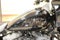 2024 Harley-Davidson Softail FXLRST - Low Rider ST