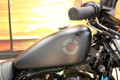 2022 Harley-Davidson XL883N - Iron 883 Base