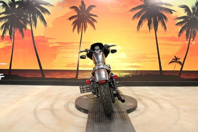 2019 Harley-Davidson XL 883N - Sportster Iron 883 Base