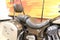 2024 Indian Springfield Black Metallic/Titanium Metallic Base