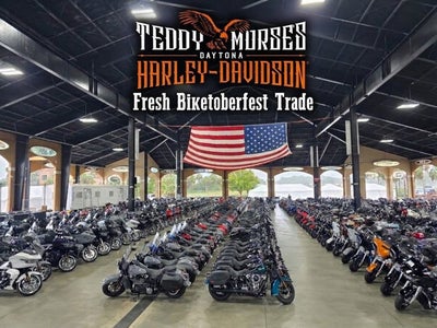 2019 Indian Springfield Steel Gray Burgundy Metallic