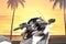 2024 Honda Gold Wing Tour Automatic DCT