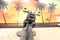2026 Harley-Davidson Pan America RA1250S - 1250 Special