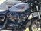 2025 Harley-Davidson Sportster RH975S - Nightster Special