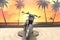 2026 Harley-Davidson RH975S - Nightster Special Base