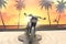 2026 Harley-Davidson Sportster RH975S - Nightster Special