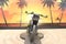 2026 Harley-Davidson RH975S - Nightster Special Base