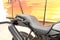 2026 Harley-Davidson Pan America 1250 ST