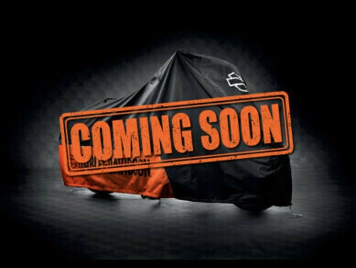 2021 Harley-Davidson® Softail Standard 