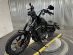 2020 Harley-Davidson® Iron 883 