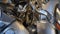 2003 Harley-Davidson FLSTS - Heritage Springer Softail Base