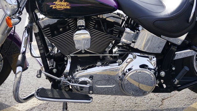 2011 Harley-Davidson Softail FLSTN - Deluxe