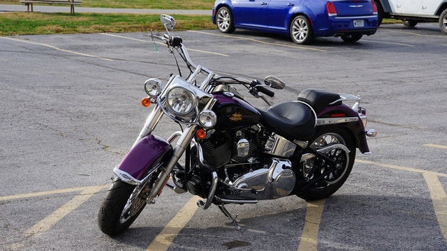 2011 Harley-Davidson Softail FLSTN - Deluxe