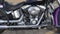 2011 Harley-Davidson Softail FLSTN - Deluxe