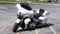2024 Harley-Davidson FLHX - Street Glide Base