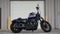 2020 Harley-Davidson XL1200NS - Sportster Iron 1200 Base
