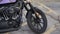 2020 Harley-Davidson XL1200NS - Sportster Iron 1200 Base