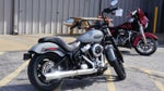 2025 Harley-Davidson Softail FXBB - Street Bob