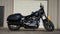 2021 Harley-Davidson Softail FLSB - Sport Glide