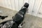 2018 Harley-Davidson Softail FXLR - Low Rider