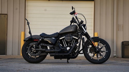 2019 Harley-Davidson XL 883N - Sportster Iron 883 Base
