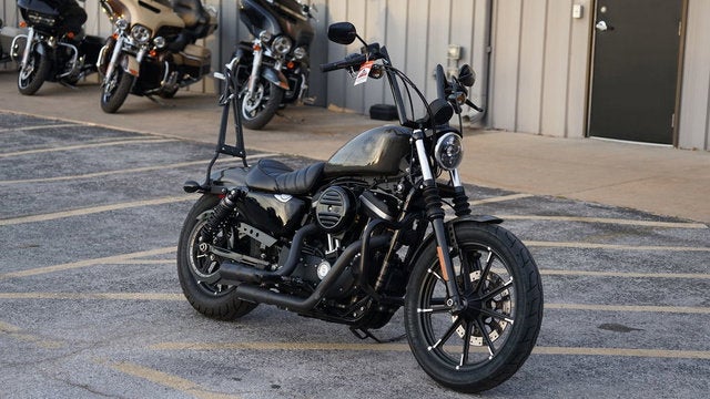 2019 Harley-Davidson XL 883N - Sportster Iron 883 Base
