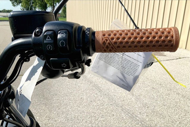 2022 Harley-Davidson XL883N - Iron 883 Base