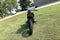 2016 Harley-Davidson XG750 - Street 750 Base