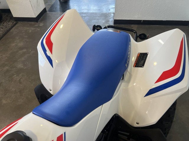 2026 Honda TRX 250X