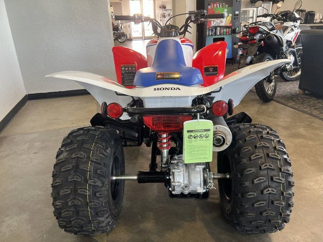 2026 Honda TRX 250X