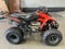 2024 Honda TRX 250X