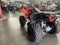 2024 Honda TRX 250X