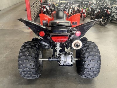 2024 Honda TRX 250X