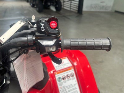 2025 Honda FourTrax Foreman Rubicon 4x4 Automatic DCT EPS Base