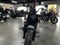 2025 Indian Chief Bobber Dark Horse Storm Gray Base